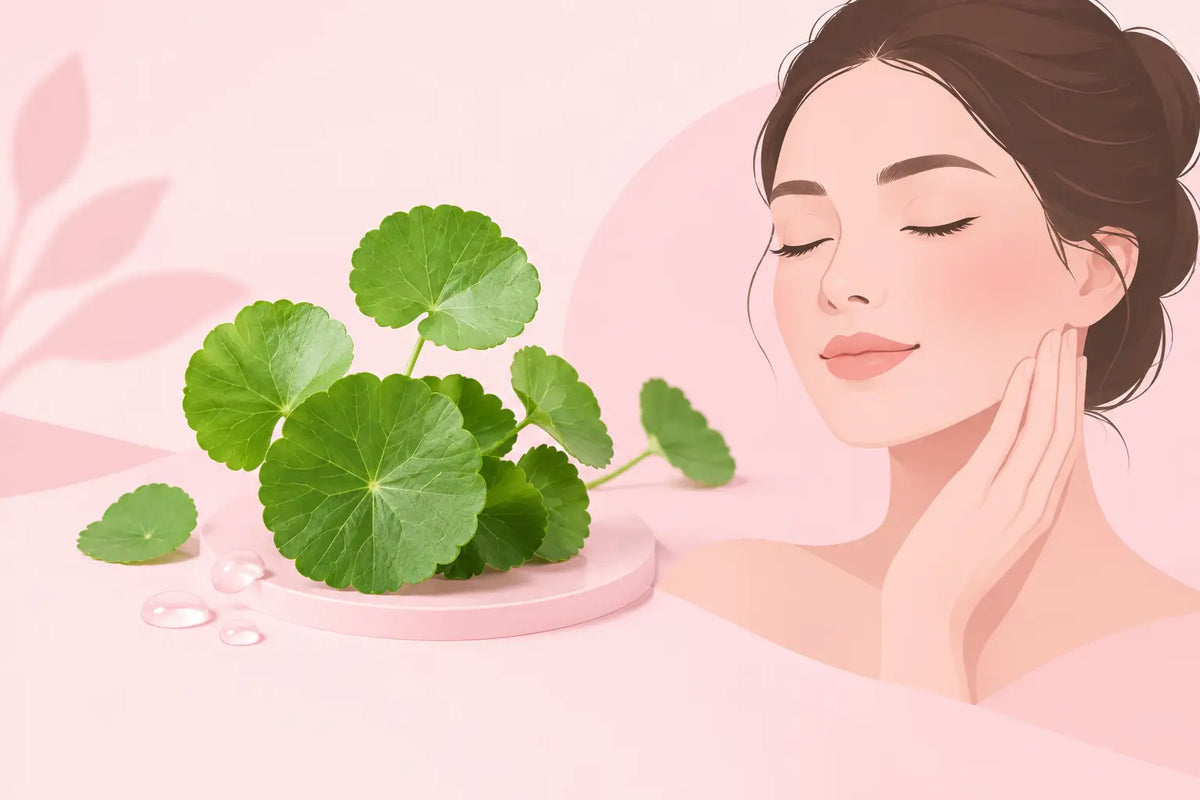 Centella Asiatica: Benefits for Reactive Skin